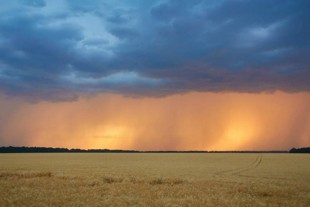 Texas fields with rain