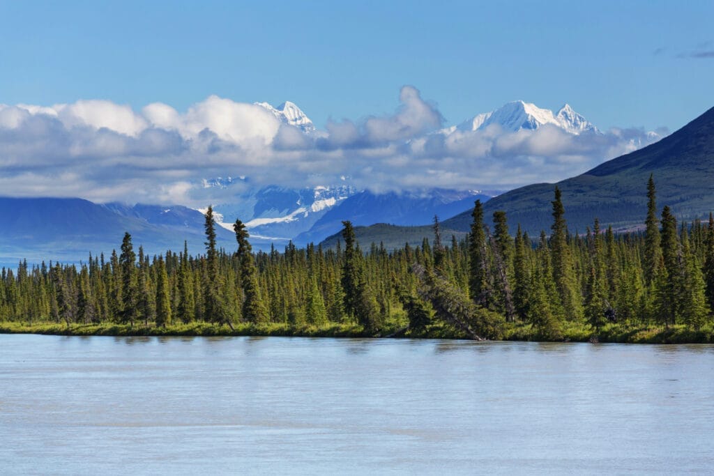 Lake with trees and mountain in Alaska