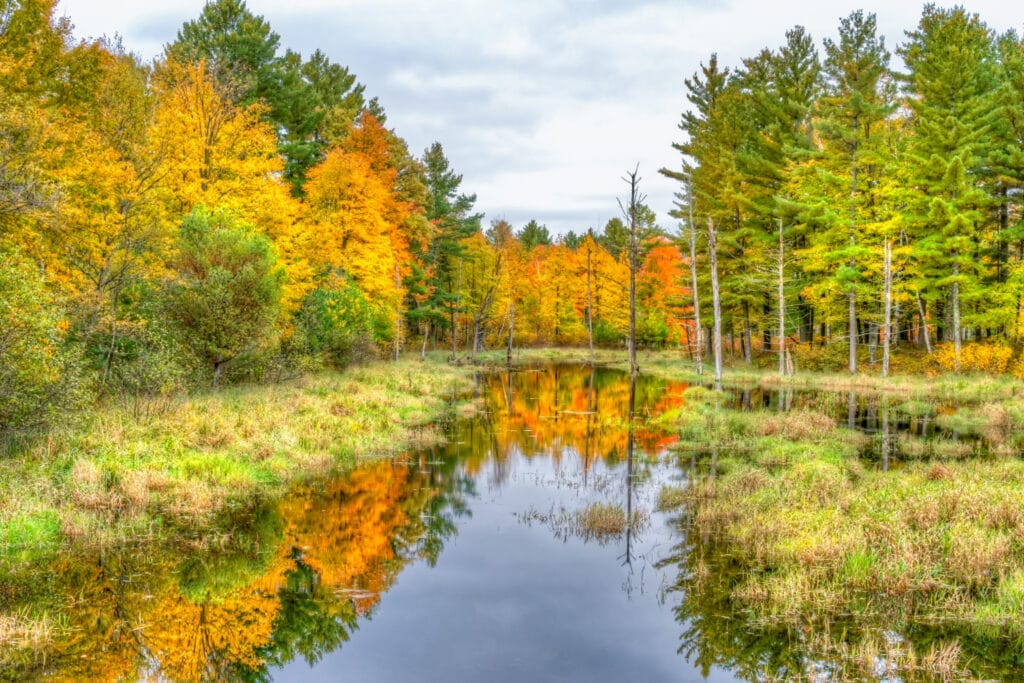 Wisconsin forest and lake